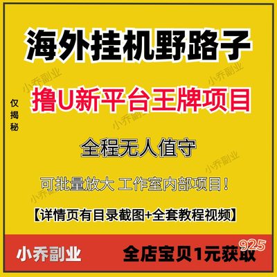 5月海外挂机撸U新平台副业全程无人值守可批量放大工作室内部项目