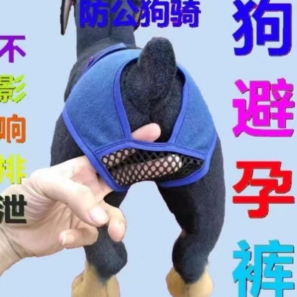 裤防可发裤裤裤神器交配生理裤狗泄狗狗排情母避孕防交配狗