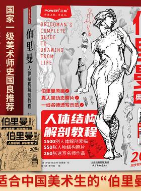 伯里曼人体结构绘画教程书