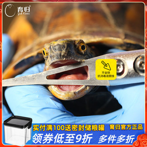 新品乌龟开口神器拒食不开食不开口利G器纯304不锈钢乌龟开口器