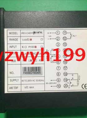 店长推荐SKG温控仪TREX-pC401FK01-M*HN现货SKG TREX-C401智能表