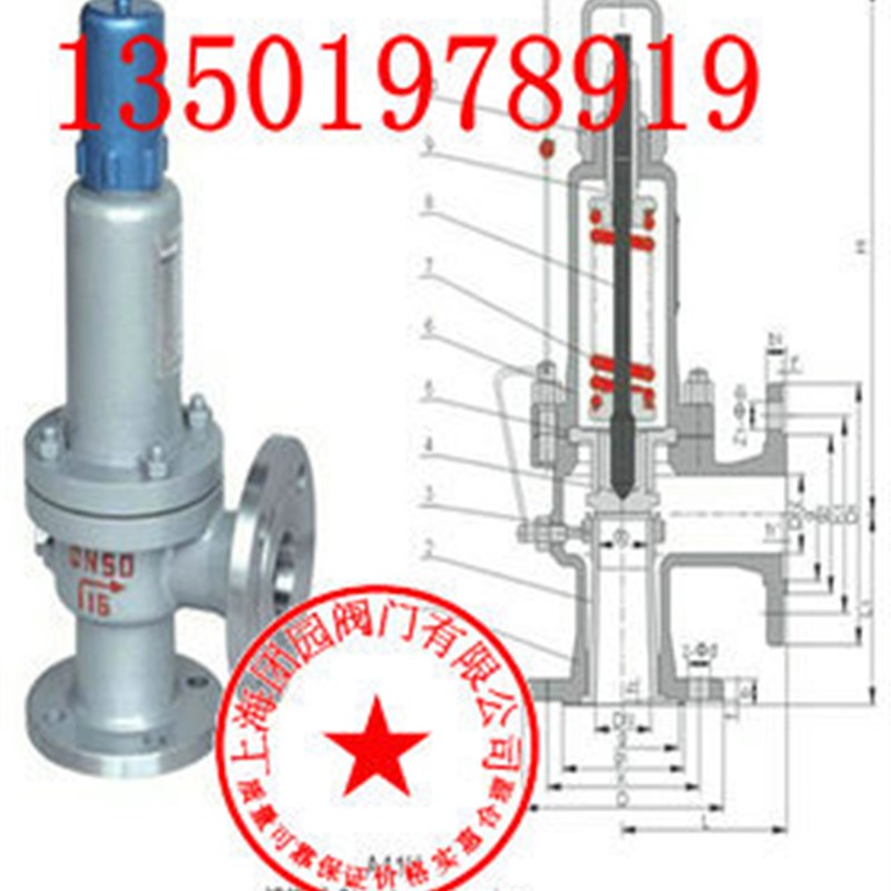 上海团园 A41H-16Cr铸钢安全阀 耐高温弹簧微启封闭式安全阀 DN80