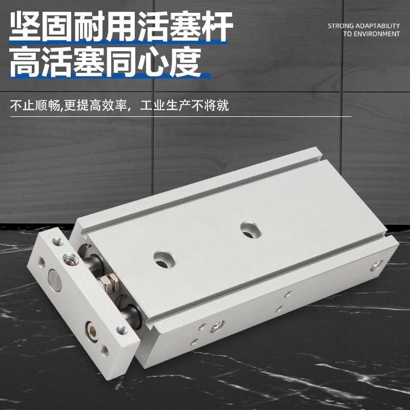 TR16X20X10X15X25X30X40X50X60X70X75X80X90S+DMSG-X2双轴双杆气