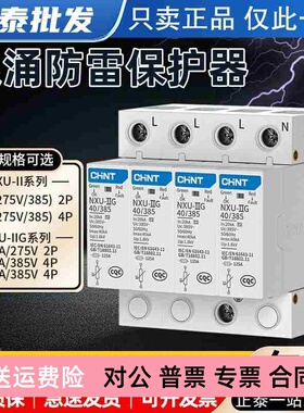 浪涌防雷保护器NXU-II G2P4P20KA40KA220V家用小型电源避雷器
