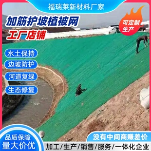 加筋护坡植被网 生态修复一体化营养加筋植被护坡网 抗冲生物毯厂