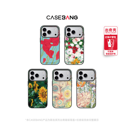【孟子义同款】CASEBANGx德基艺术博物馆联名花花世界适用iPhone17ProMax/17Pro/16可拆卸磁吸新款苹果手机壳