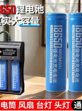 18650锂电池3.7v可充强光手电筒收音机小风扇喇叭通用4.2v充电器