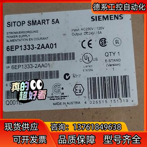 6EP1333-2AA01