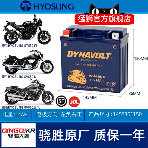 轻骑大韩晓星HYOSUNGGV650电瓶