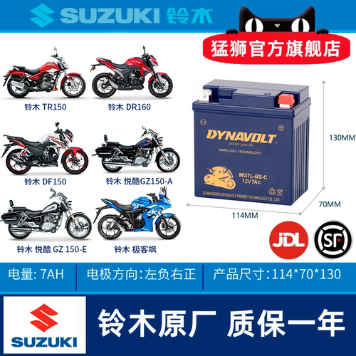 豪爵迪爽HJ150-9摩托车电瓶