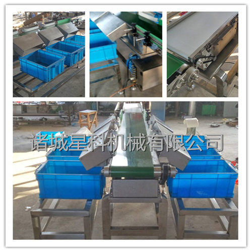 直销水果蔬菜重量分选机 海产品自动称重分级机 干海参分级挑选机