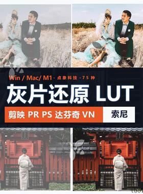 索尼灰片还原LUT预设HLG/slog2/slog3视频图片709剪映PR通用log