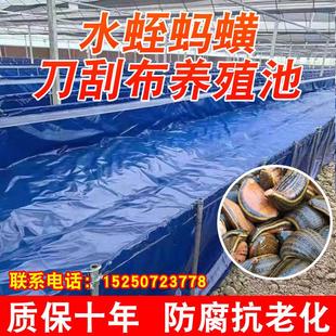 水蛭蚂蝗专用帆布鱼池防水布户外牛蛙龙虾养鱼养殖水箱刀刮布水池