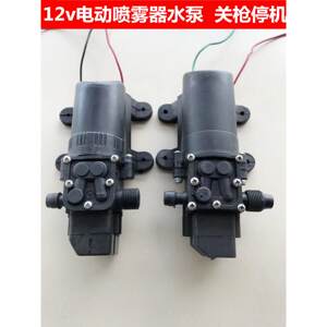 12v喷雾器水泵浦车载洗车机自吸隔膜泵浦车洁美车邦士洗车电机抽