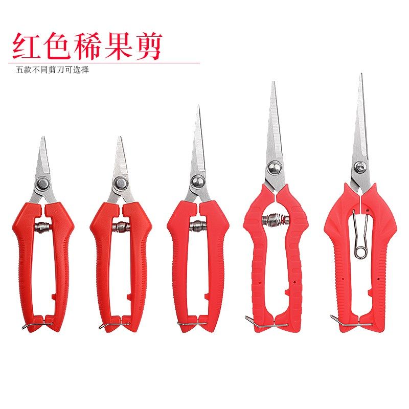 摘果剪采摘花椒剪子修花枝摘果神器修建葡萄水果蔬果剪刀工具