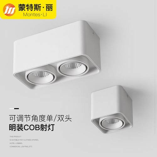 明装双头射灯led天花灯吸顶式斗胆灯客厅筒灯卧室方形无主灯照明