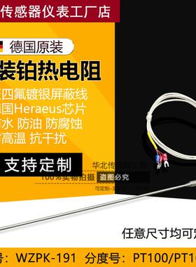 铠装PT100铂热电阻PT1000温度监视器探针式温度感测器WZPK-191针