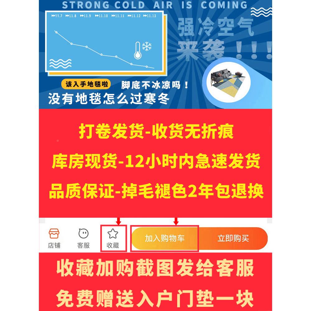客地毯现代简约厅沙发几毯欧地4--7垫轻奢高北级茶卧室大面积地毯