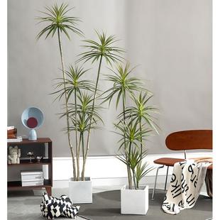 新款铁树仿真绿植室内长青仿真树假树落地橱窗造景假植物