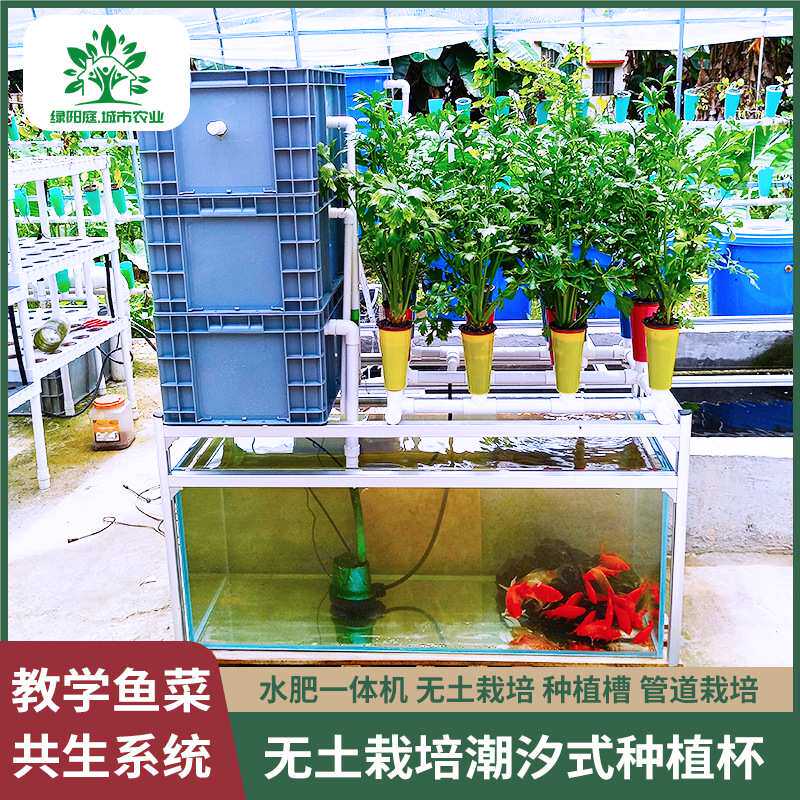 鱼菜共生系统养花种菜无土栽培水耕教学种植系统潮汐种植教学设备