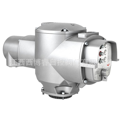 奥玛执行器控制单元AM02.1