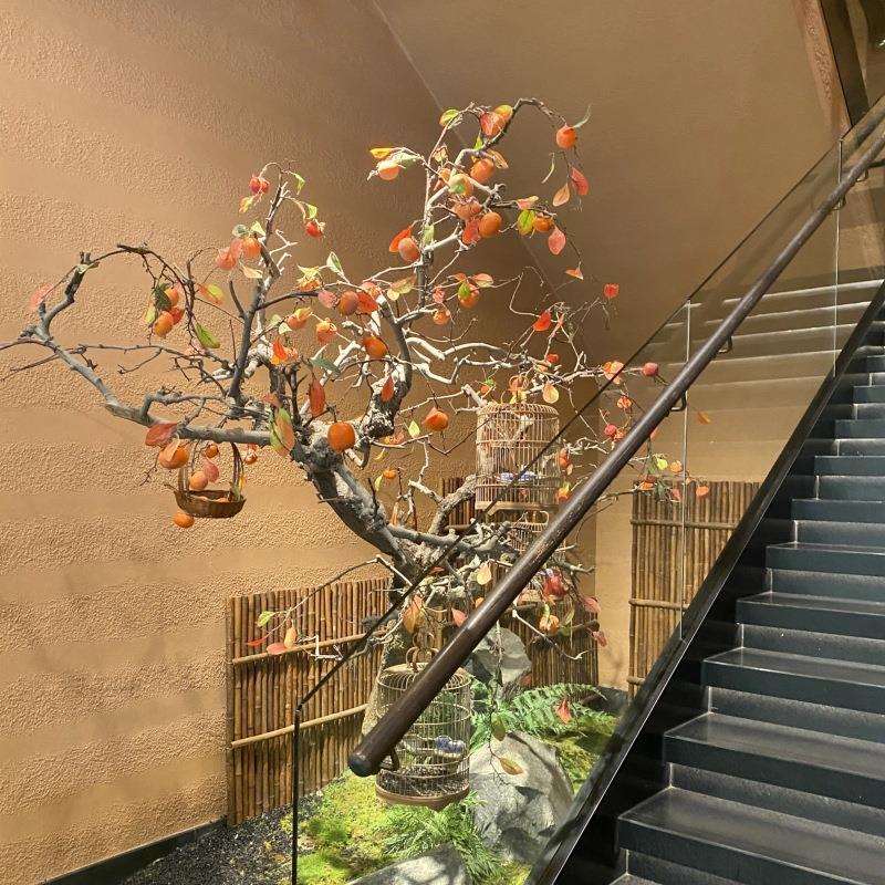 柿子树造景假树摆件室内景观绿植橱窗装饰花艺可造型树