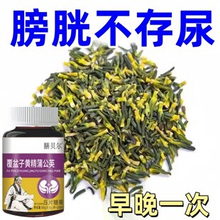 尿频尿急小便次数多起夜频繁覆盆子黄精蒲公英片夜尿频繁