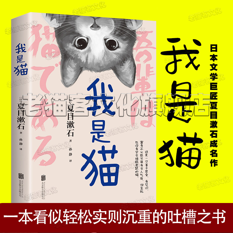 我是猫长篇小说代表作一只萌猫