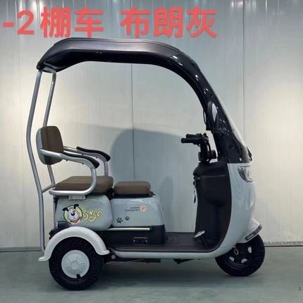 新款带棚电动三轮车小型成人家用电动三轮车休闲代步车老年人孩子