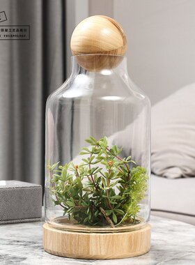 新款创意现代玻璃花瓶工艺品永生花摆件带木球玻璃储物罐家居摆设