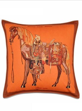 抱枕沙发靠垫套美式轻奢橙色阳样板客厅腰枕绒P家居间靠枕北欧爱