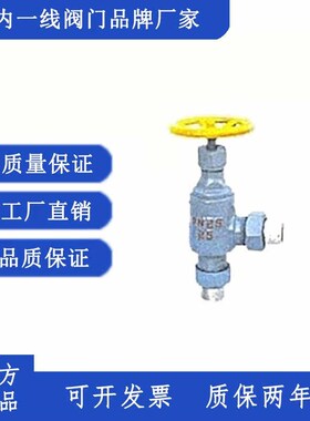 J24B外螺纹角式氨用截止阀 可定制尺寸 苏.州纽威阀门