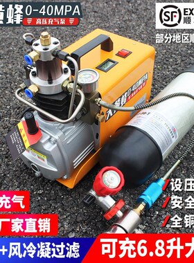 大黄蜂高压打气机30mpa高压气泵4D0mpa小型单缸水冷电动充气泵冲