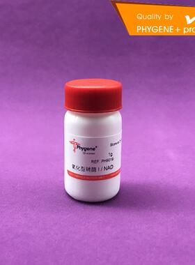 PH9019 氧化型辅酶 I / NACD 二磷酸吡啶核苷酸 实验试剂 1g
