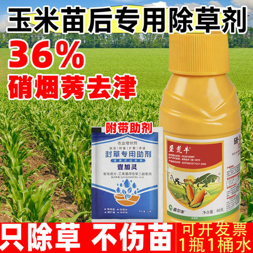 新款玉米苗后除草剂包谷地专用药不伤苗硝烟莠去津玉米田锄杂草药
