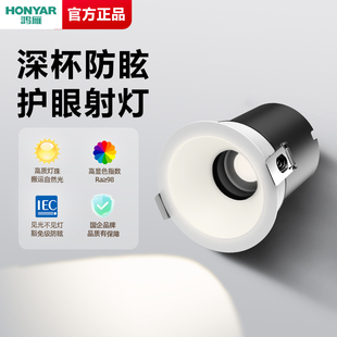 鸿雁射灯嵌入式政府补贴75mm客厅led无主筒灯智能彩虹小山丘射灯