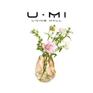 异彩 LIVING 花瓶摆件客厅透明玻璃台面高级感客厅插花