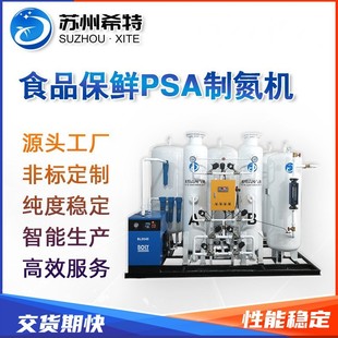 食品保鲜氮气现场发生器变压吸附氮气机食品包装 包装 用氮气机设备