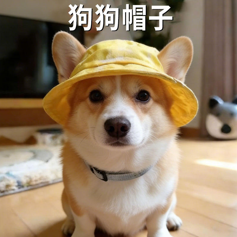 柯基帽子露耳朵新款渔夫