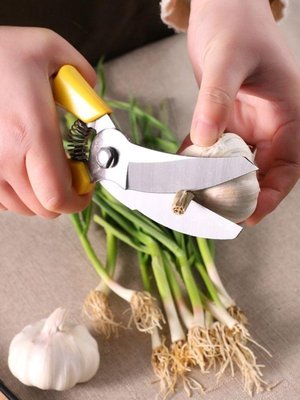 新品剪蒜专用剪多功能蒜胡剪农用工具家用手动不锈钢蔬菜剪杆根蒜