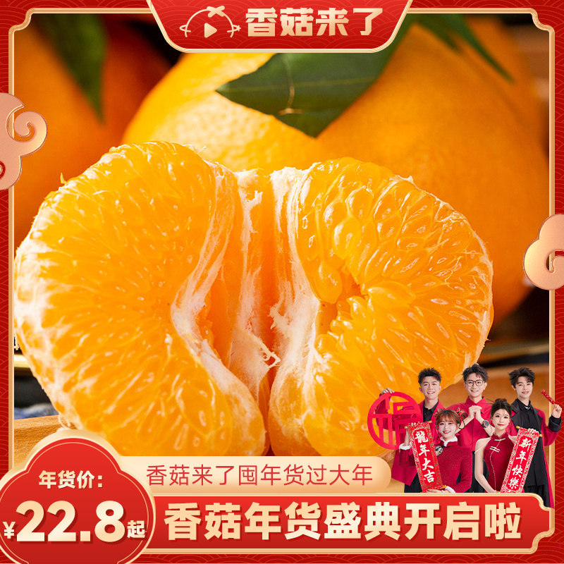 【香菇年货节】四川春见耙耙柑橘子粑粑杷杷柑丑桔子整箱新鲜水果