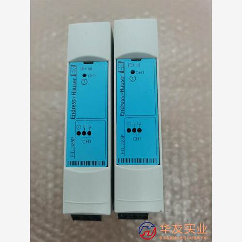 E+H   FTL325P-F1A1