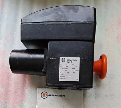EBRO 依博罗电动执行器 E65    230V