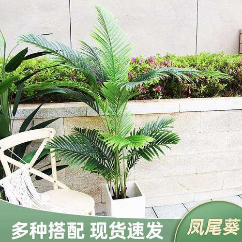 仿真凤尾葵仿真盆栽盆景绿植 仿真植物假盆栽客厅仿真花摆件