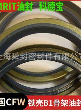 CFW-SIMRIT外骨架油封B1FUD20*28*6 DIN3761B/BS材质72NBR902