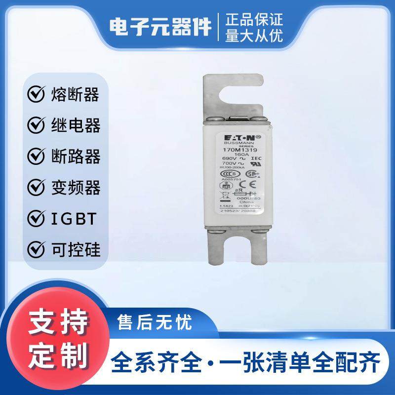 170M1319 低压熔断器 170M1320 熔断器底座 半导体电子元器件