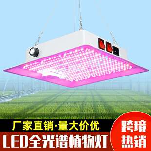 全光谱植物生长灯100-277宽压蔬菜照射植物补光灯大棚商用大功率