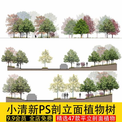 景观小清新PS平立面剖面树木植物乔木效果图海绵城市贴图psd素材