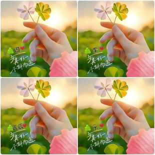 抖音快手直播同款 微信头像四叶草姓氏图片素材PSD模板设计订制