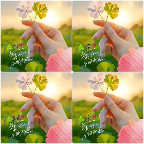 抖音快手直播同款微信头像四叶草姓氏图片素材PSD模板设计订制